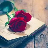 attractive whatsapp dp hd